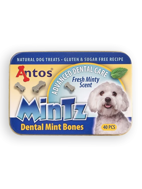 MinTz Dental Mint Bones 40 pcs