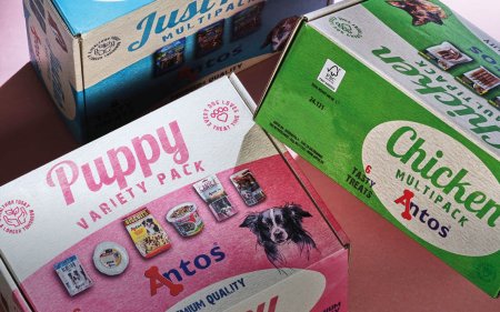 Surprise boxes for dogs